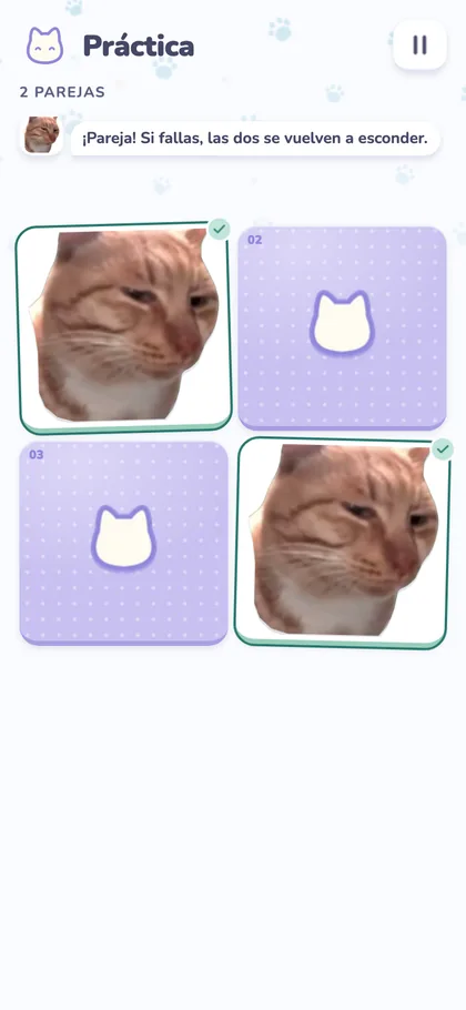 Captura de la app: Práctica